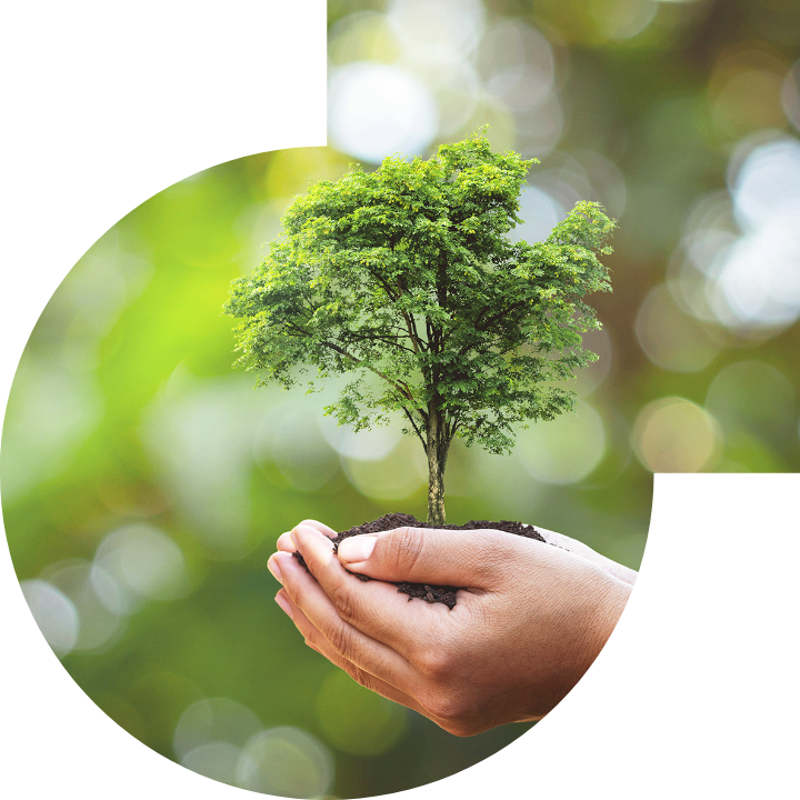 關懷人類、文化、環境與社會